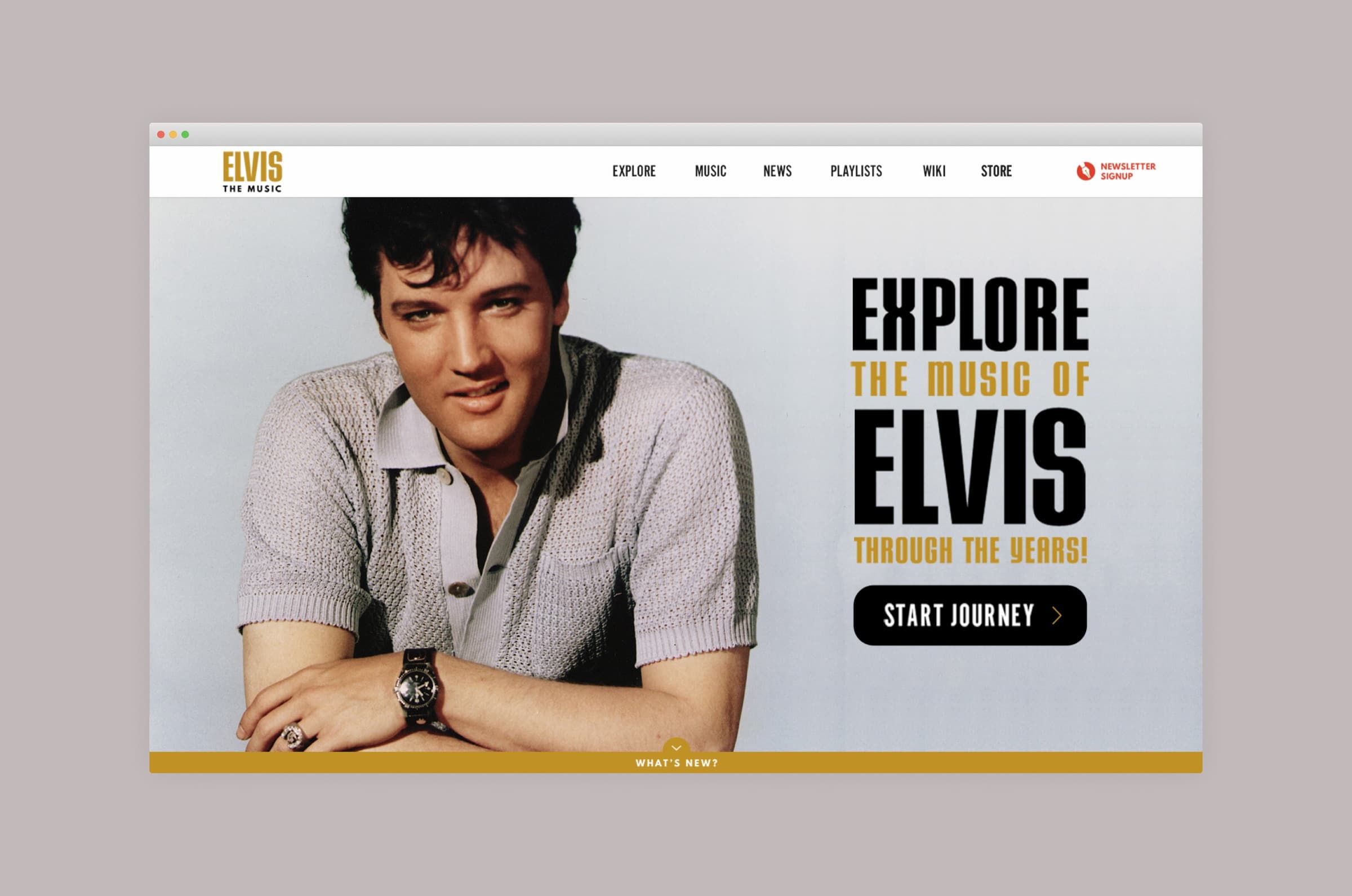 Elvis archive interface 10.